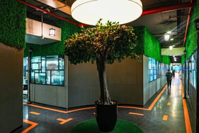 IndiQube Amber, Domlur, Bangalore (photo 4 from IndiQube)