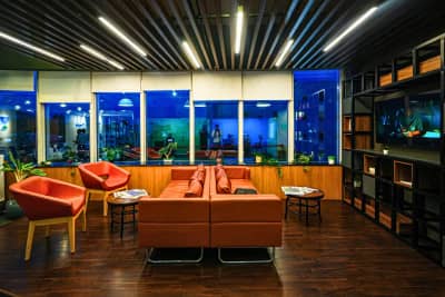 IndiQube Amber, Domlur, Bangalore (photo 6 from IndiQube)